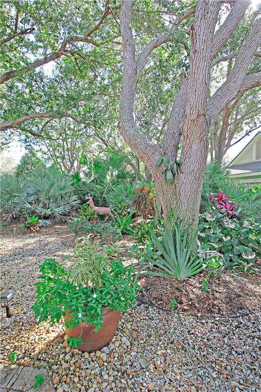 ARBOR TRACE - Residential