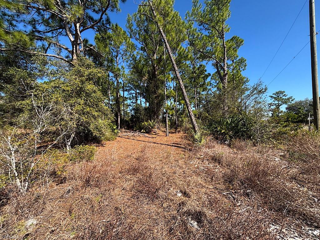 WHEELERS SUBD - Land