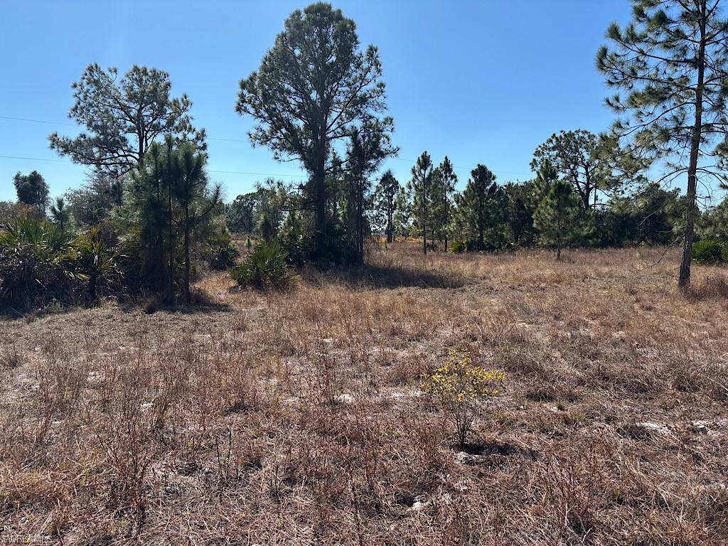 WHEELERS SUBD - Land