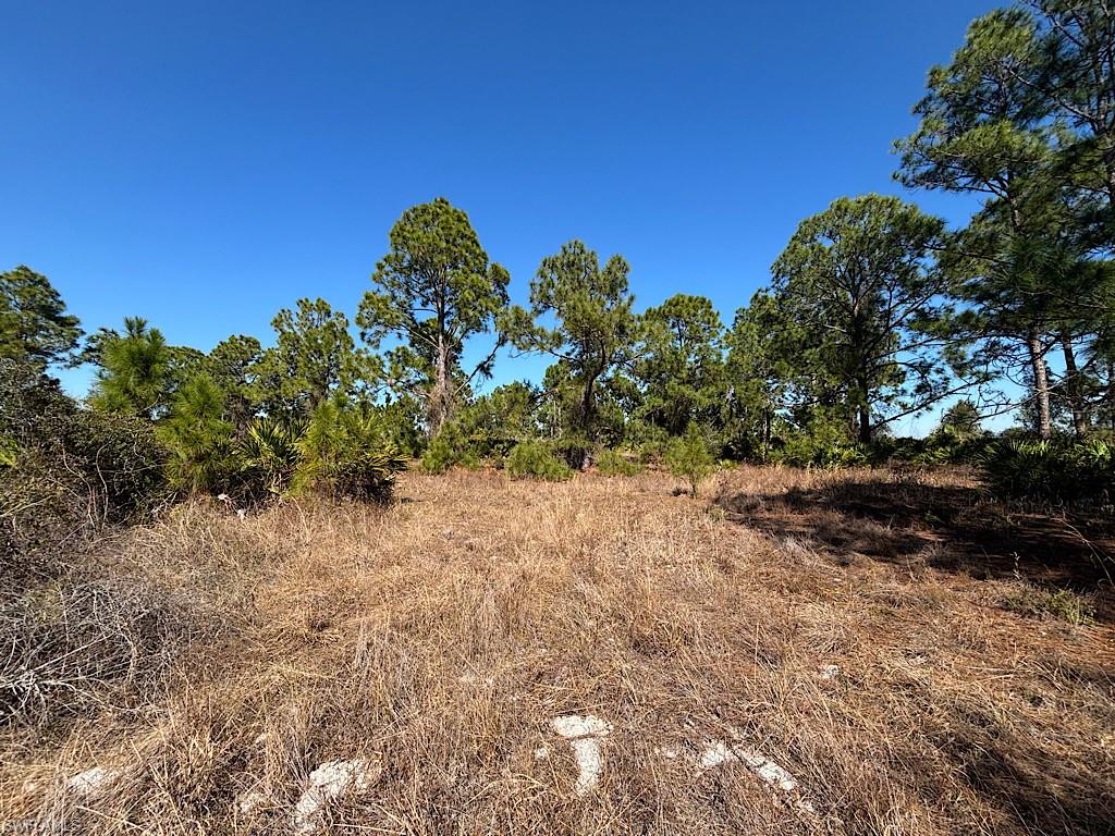 WHEELERS SUBD - Land