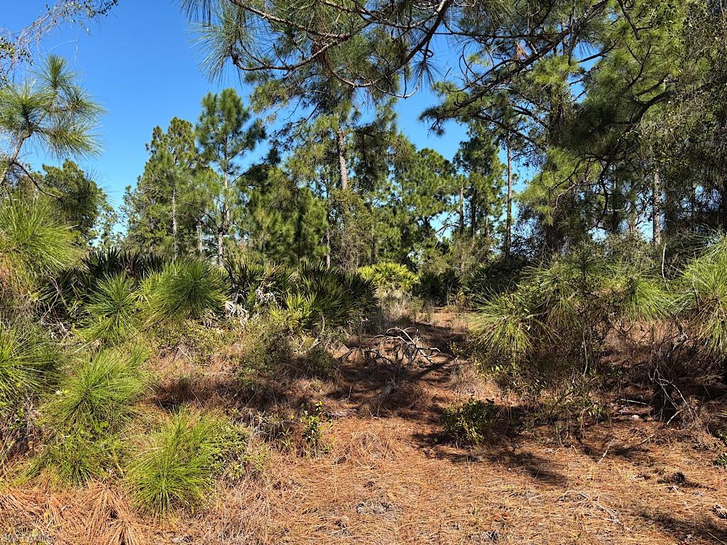 WHEELERS SUBD - Land