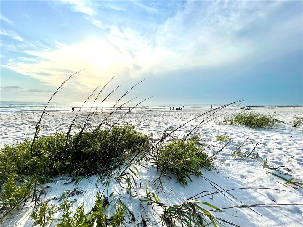 NAPLES MIMOSA CLUB - Residential