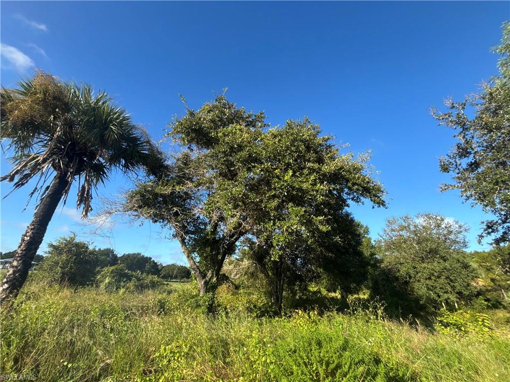 MONTURA RANCH ESTATES - Land