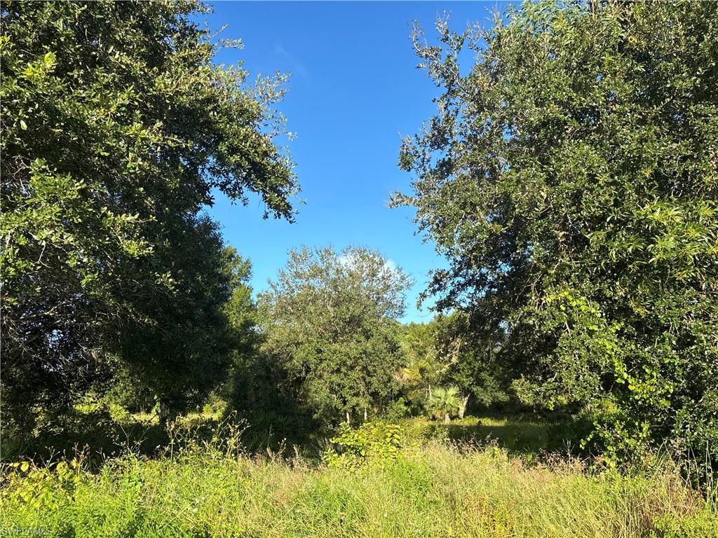 MONTURA RANCH ESTATES - Land