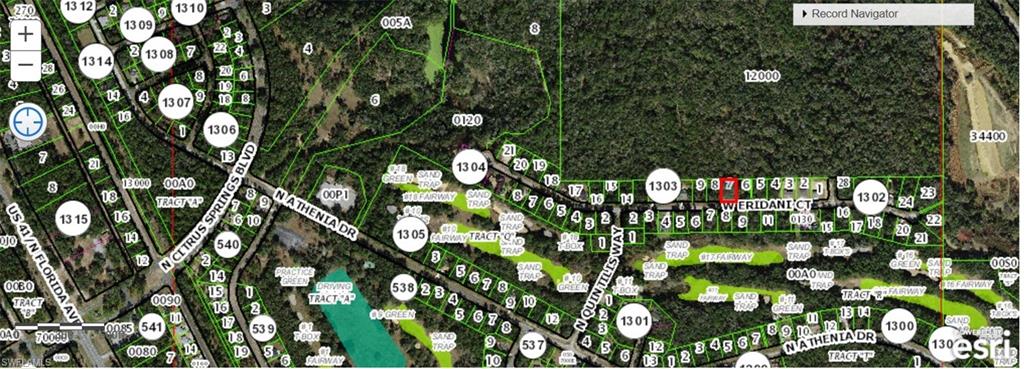 CITRUS SPRINGS - Land