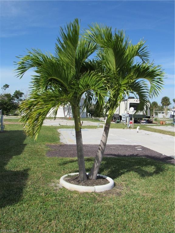 PALMETTO PALMS R V - Residential