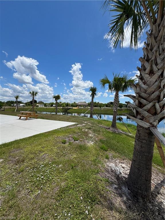 PALM BREEZE - Land