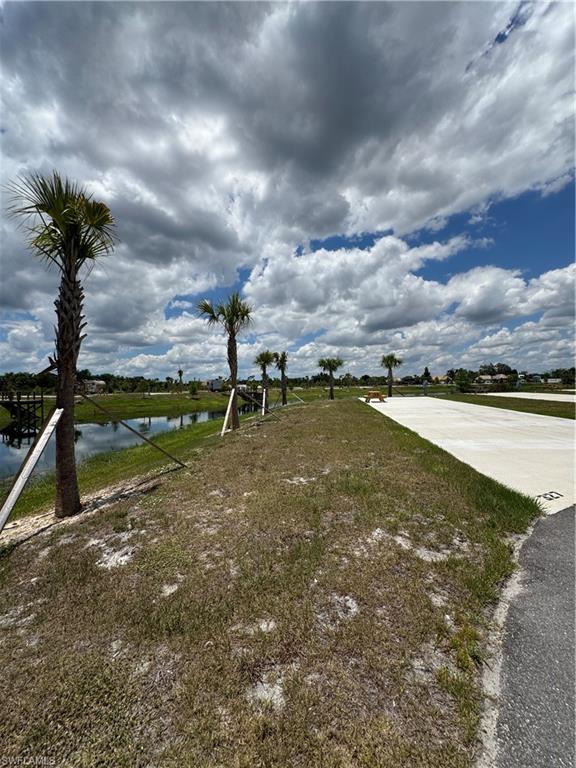 PALM BREEZE - Land
