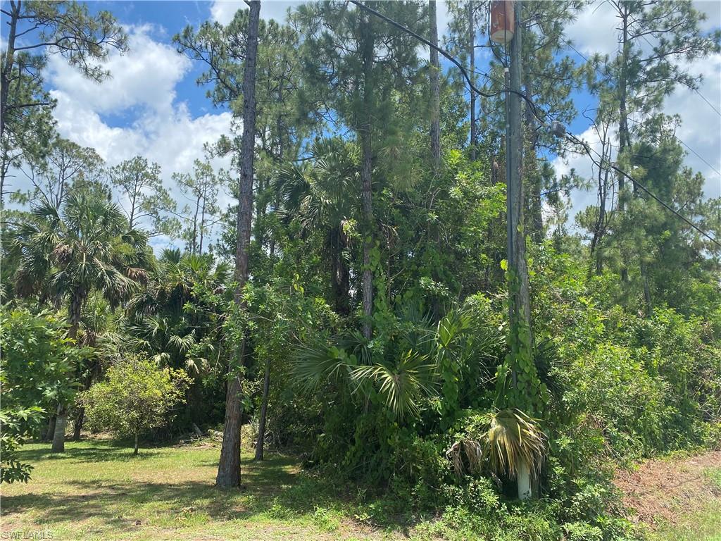 GOLDEN GATE ESTATES - Land