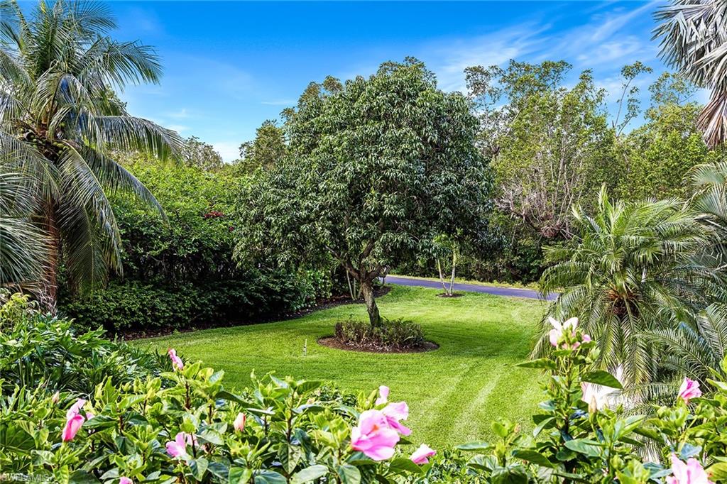 DORCHESTER - Residential