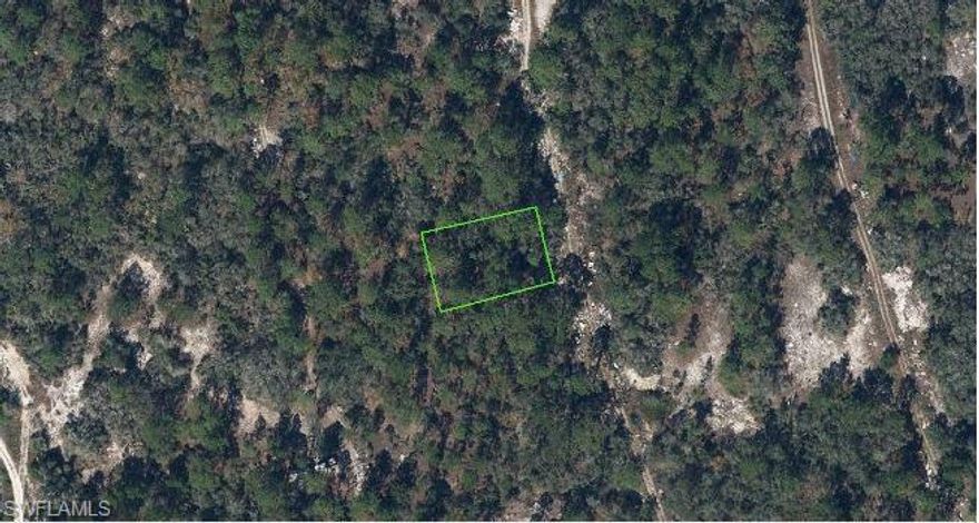 Large lot to build your new dream home in Sun N Lakes of Lake Placid, a secluded country setting. Perfect opportunity for building on now or for future investment.