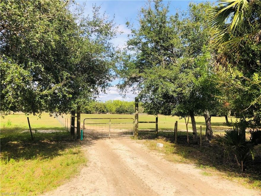 35+ Acre Family Farm in Fort Myers Near Alico Rd-many agricultural uses are available on this property-
Currently used for Poultry Hatchery, Emu hatchery & Honey Bee Box sales. Many acres of good pasture with some oak trees. 2 Small Barn buildings are on site. Please call for an appointment.