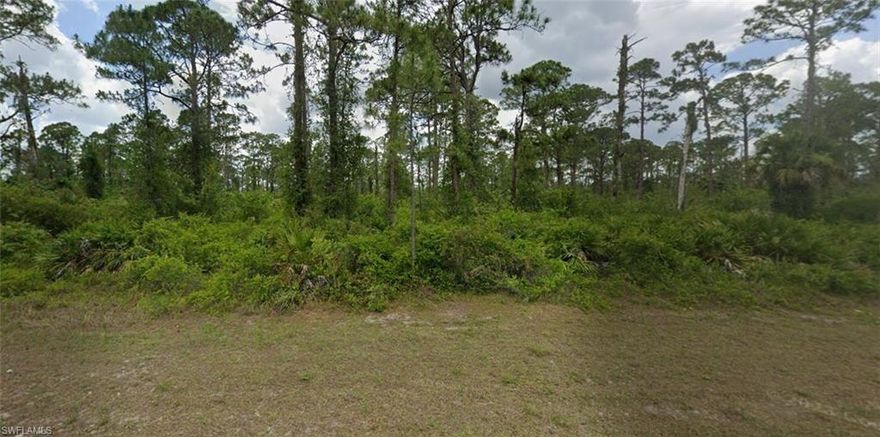 No flood-zone worries — this 0.5-acre parcel in a peaceful, developing neighborhood along Columbus Avenue offers peace of mind and lower insurance costs while giving you the perfect canvas to build your custom single-family home surrounded by mature trees and the relaxed pace of Southwest Florida living. Enjoy the space and privacy of larger lots typical in Alva, with room for a generous home, garage, pool, or garden. The location provides easy access to the Caloosahatchee River for boating and fishing, nearby parks like Caloosahatchee Regional Park, and a short drive to essentials in Fort Myers or Punta Gorda. Alva's blend of country feel and growing amenities makes this an appealing spot for those seeking tranquility without isolation. Southwest Florida International Airport (RSW) is about 40 minutes away for convenient travel. A solid choice for building your Florida dream in one of Lee County's most charming unincorporated areas.