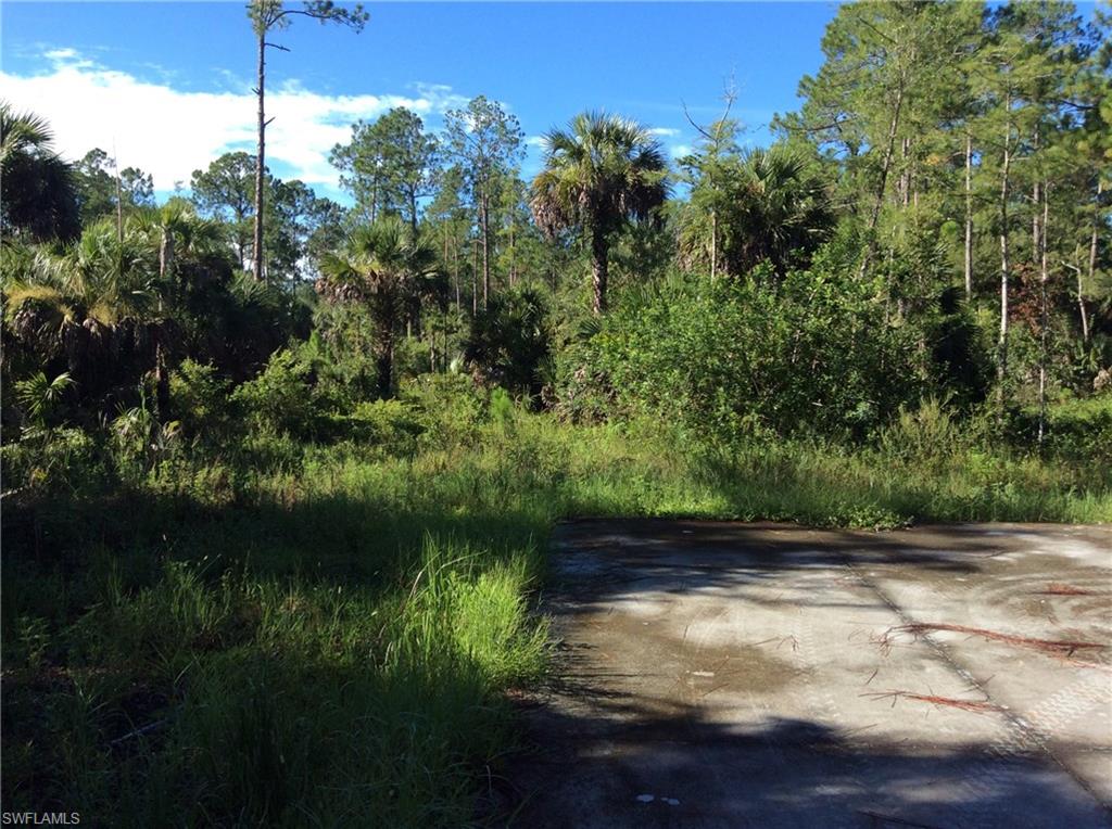 GOLDEN GATE ESTATES - Land