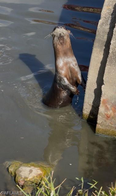 SPARROWOOD - Residential