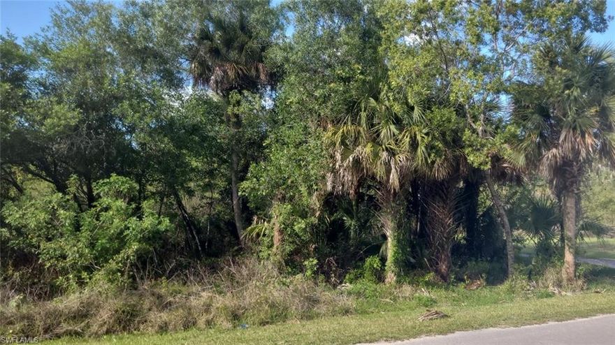 Beautiful 1.14-acre residential lot offering the perfect blend of privacy, convenience, and development readiness. This level parcel features mature trees that create a serene natural setting while still providing quick access to major highways, schools, and the new shopping center just minutes away.
The property is zoned for residential use, with utilities available at the street, and includes a completed site study, adding significant value and reducing development timelines. Approximately 50% of the lot consists of dry land, making it more accessible and favorable for faster construction. Additionally, the property is currently undergoing mitigation review with the U.S. Army Corps of Engineers, providing buyers with added clarity and confidence regarding future use.
Whether you're planning to build your dream home or seeking a strong long-term investment, this spacious and well-located lot offers exceptional potential in a growing area.