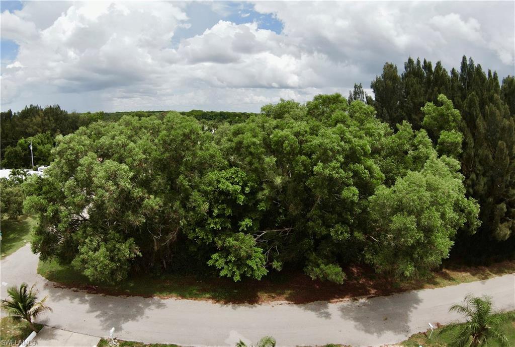 PINE ISLAND RIDGE - Land