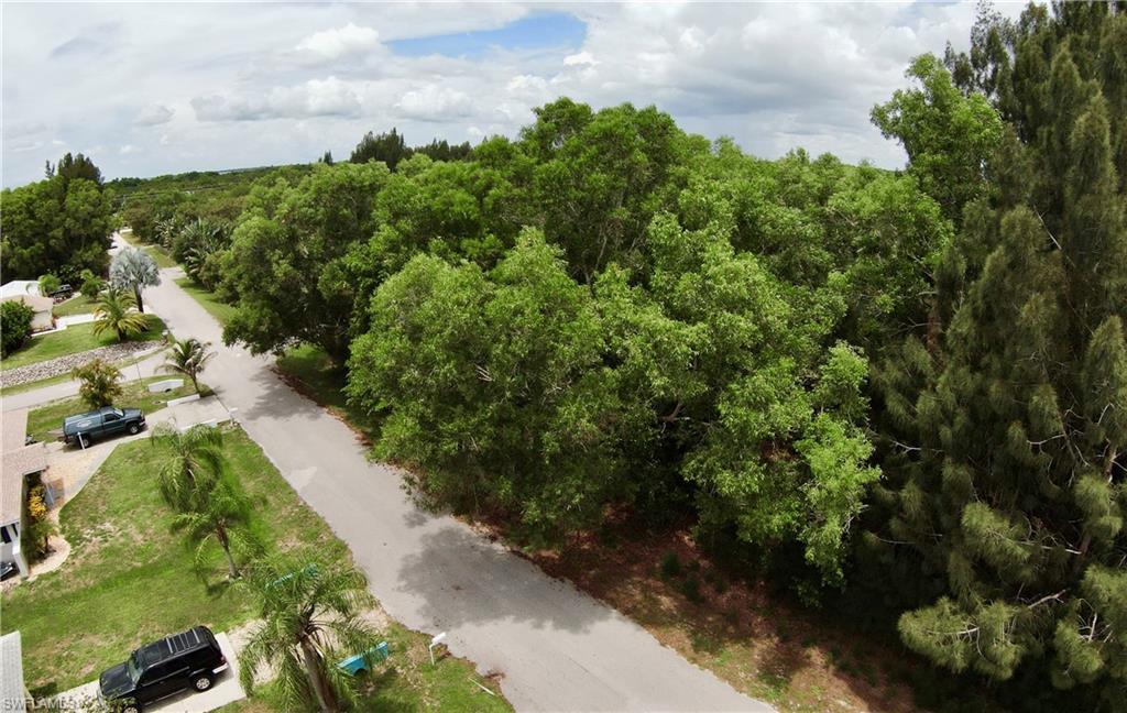 PINE ISLAND RIDGE - Land