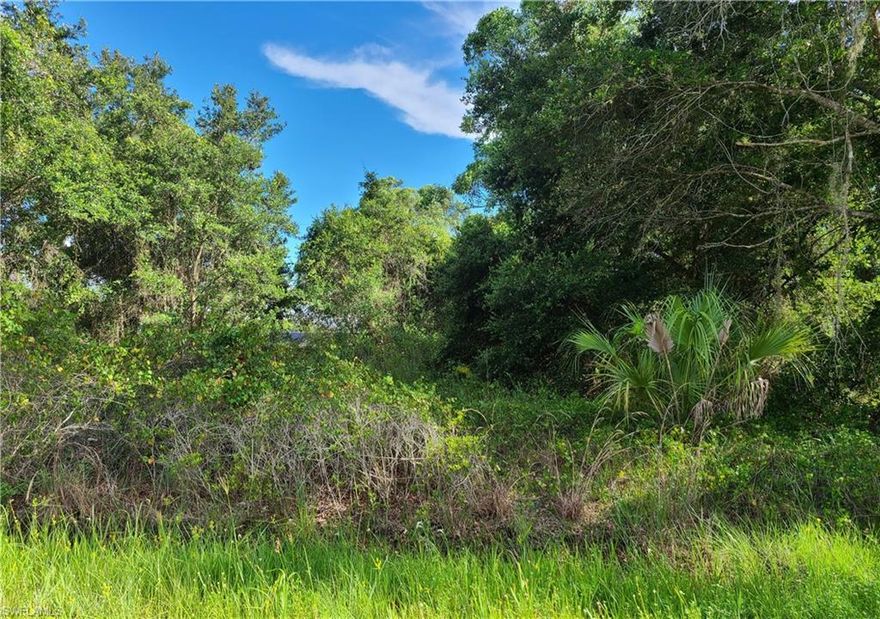 Great lot located in Peace River Shores.  Close to Peace River.