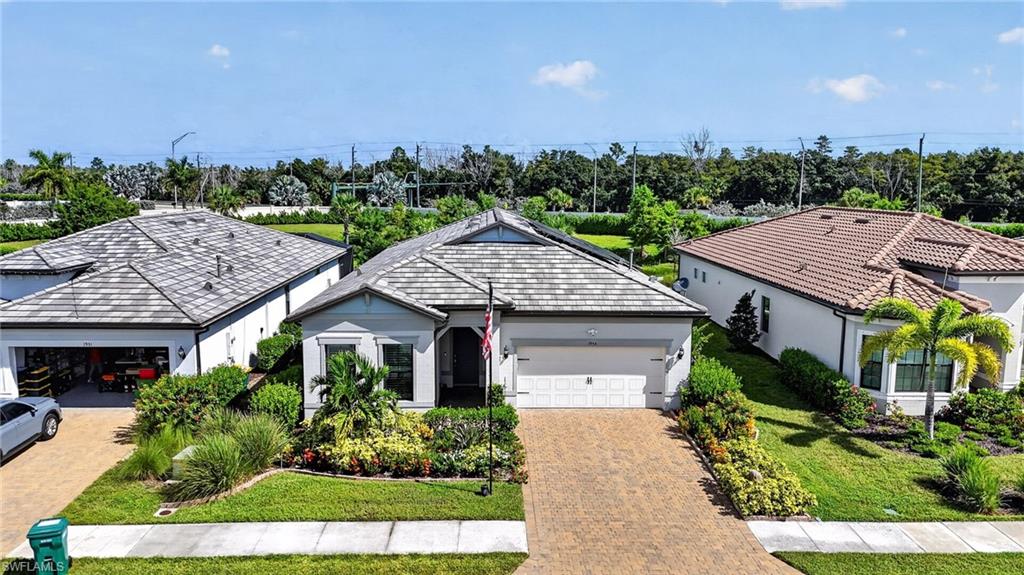 1955 Tripletail LN