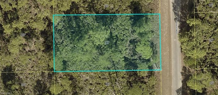 Over-sized building lot in Southeast Lehigh Acres. Short drive to state road 82. Many new homes are being built. Great time to invest in sunny Southwest Florida!