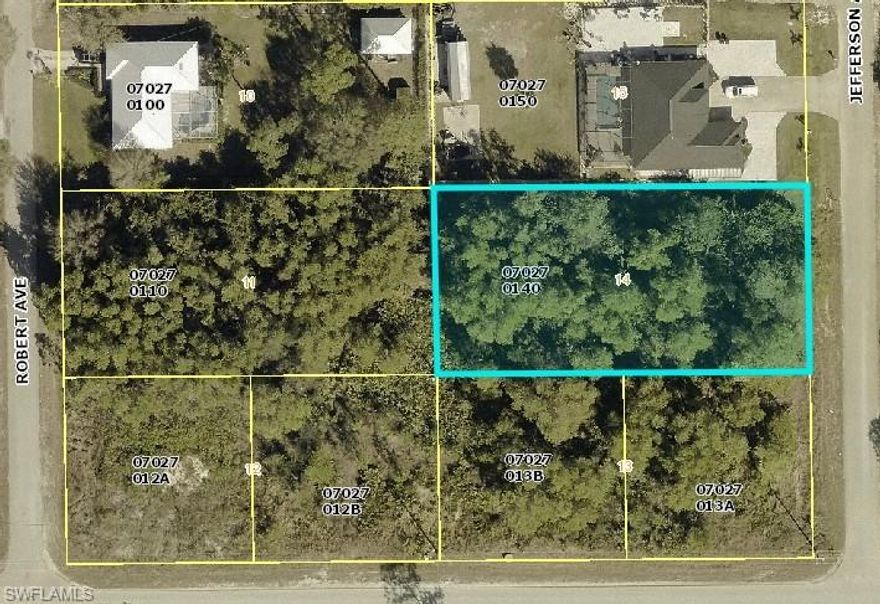 VERY AFFORDABLE  LOT!! Half-acre high and dry lot. Paved road and Houses in the surrounding areas.  No HOA. Build now or later, Great investment as well. Southwest Florida has so much to do, Beaches, Spring Training Baseball, Theme Parks, and year-round beautiful weather! Make this lot yours while you can.