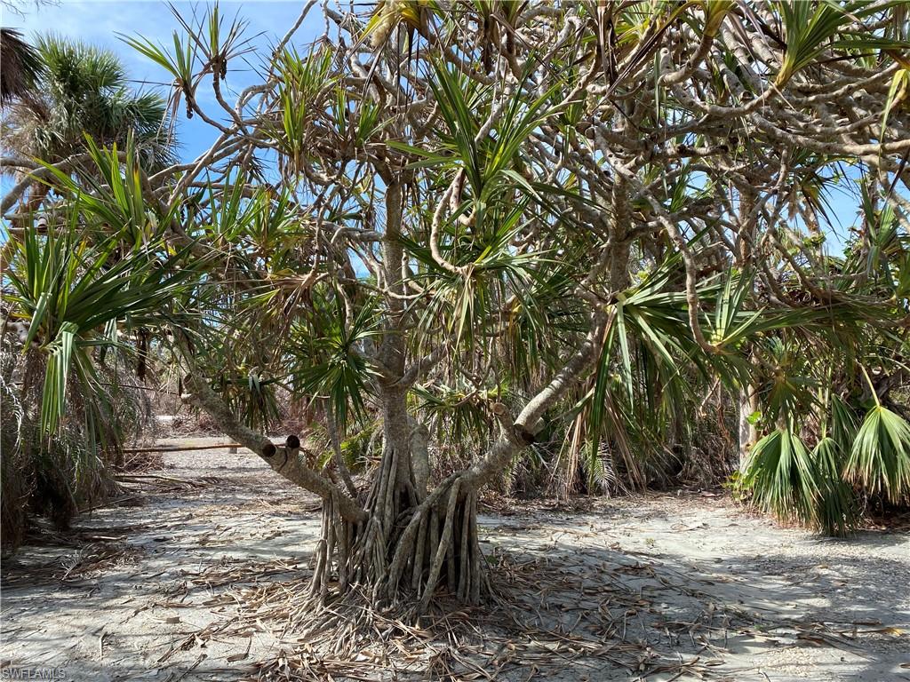 CHATEAUX SUR MER UNREC - Residential