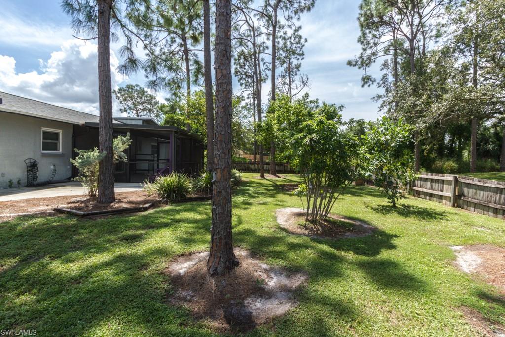 SAN CARLOS PARK - Residential