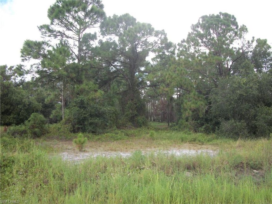 765 N Isora St and 760 N Jinete St , Rare opportunity to own this special property which are two 1.25 acre lots. each with their own parcel ID being sold together. You can keep this gem as is or sell one of lots and keep the other. Opportunities are endless... Properties have frontage on N Isora St and N Jinete St. and lots are back to back. Don't miss out on this one.