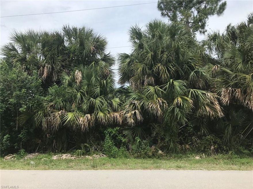 100% Uplands per the DEP Wetland Determination attached. Enjoy the peaceful, country lifestyle of Golden Gate Estates, just minutes from the splendor and beautiful beaches of Naples, Florida. Build the home of your dreams on this wonderful 1.14 acre lot. Fantastic property on a street with beautiful homes.