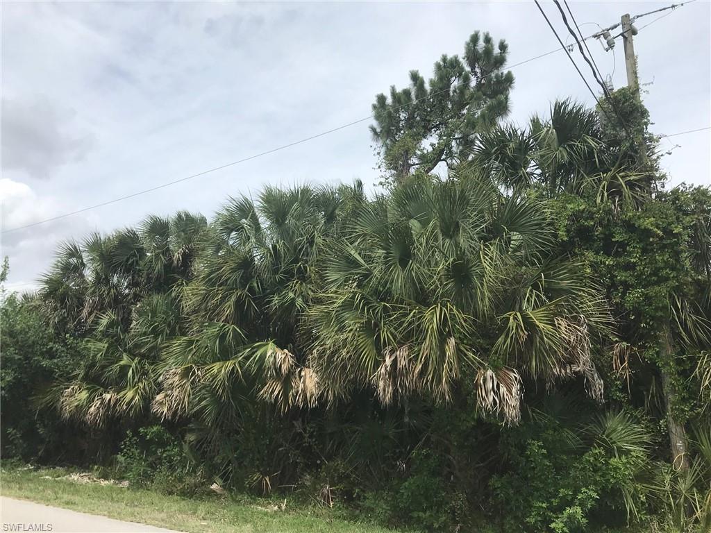 GOLDEN GATE ESTATES - Land