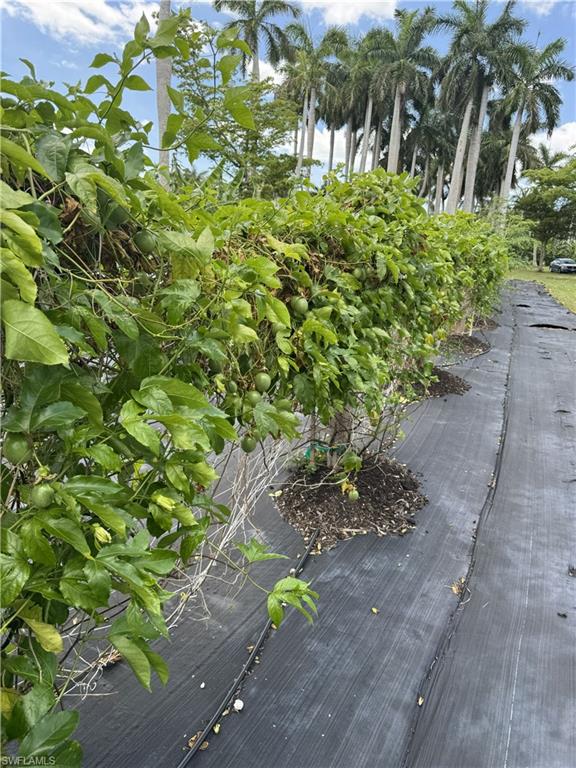 PINE ISLAND CORAL RIDGE ESTS UNRECORDED SUBDIV - Land