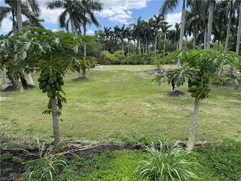 PINE ISLAND CORAL RIDGE ESTS UNRECORDED SUBDIV - Land