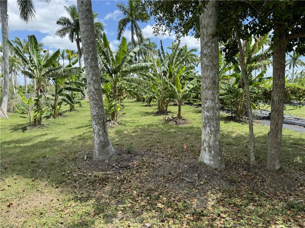 PINE ISLAND CORAL RIDGE ESTS UNRECORDED SUBDIV - Land