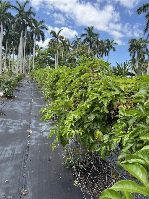 PINE ISLAND CORAL RIDGE ESTS UNRECORDED SUBDIV - Land