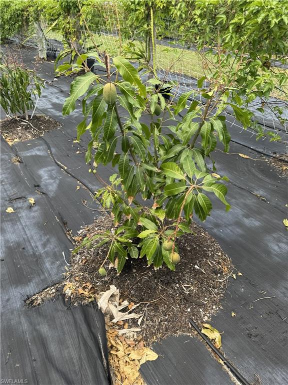 PINE ISLAND CORAL RIDGE ESTS UNRECORDED SUBDIV - Land