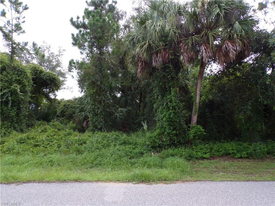 This lot is on a quiet street, and it is in the highly desired Flood Zone X, this means no flood insurance required. This would be a great place to build your dream home and retire or raise your family. Less than 5 miles to I75 makes this location an easy commute to almost anywhere, and only 20 miles to Chadwick Park at Englewood Beach with amazing sunsets, 3 miles to Port Charlotte Town Center and only 9 miles Punta Gorda Historic district and waterfront park with lots of shopping and dining options. Tampa Bay Rays spring training and the fairgrounds are just minutes away, also multiple golf courses and some of the best boating and fishing in all of Florida. Red Soxs, Orioles, Twins and Braves spring training all within an hour’s drive. Buyer and buyers’ reps are responsible for determining environmental conditions and endangered species restrictions. This lot is priced to sell so please call for availability! This lot is at a great price point for the investor call today.