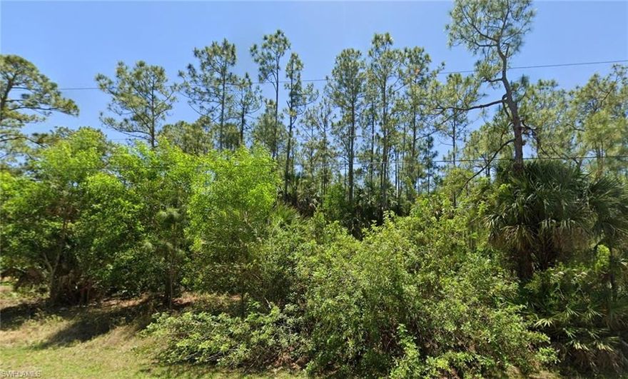 Build your dream home on this exceptional 2.73-acre 100% upland lot in the highly desirable Golden Gate Estates. This property is fully usable with no wetlands, offering maximum flexibility for construction, landscaping, and additional structures. A DEP report is available, providing added confidence and saving you time in the building process. Enjoy the privacy, space, and peaceful surroundings while still being conveniently located near shopping, dining, and schools. Perfect opportunity for builders, investors, or anyone looking to create their own private estate in a growing area.