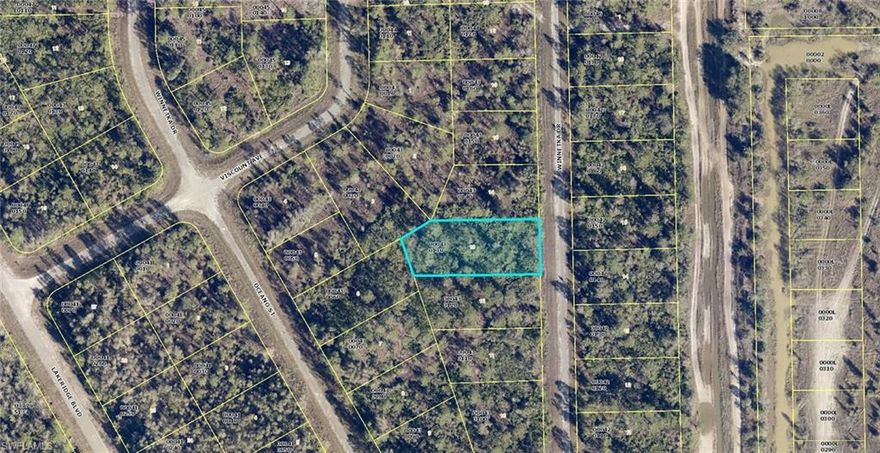 Build your dream home or invest in this Western Exposure, .36-acre lot in fast growing Lehigh Acres! This .36 acre lot offers a quiet country lifestyle, while still being close to Joel Blvd for easy access to Fort Myers. The larger lot gives you room to store all your toys.