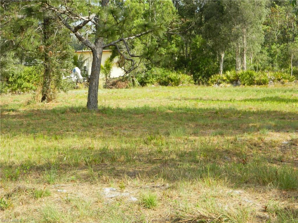 KREAMERS AVOCADO SUBD - Land