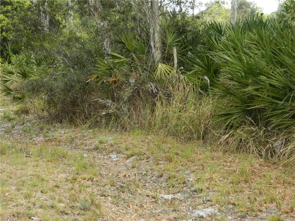 KREAMERS AVOCADO SUBD - Land