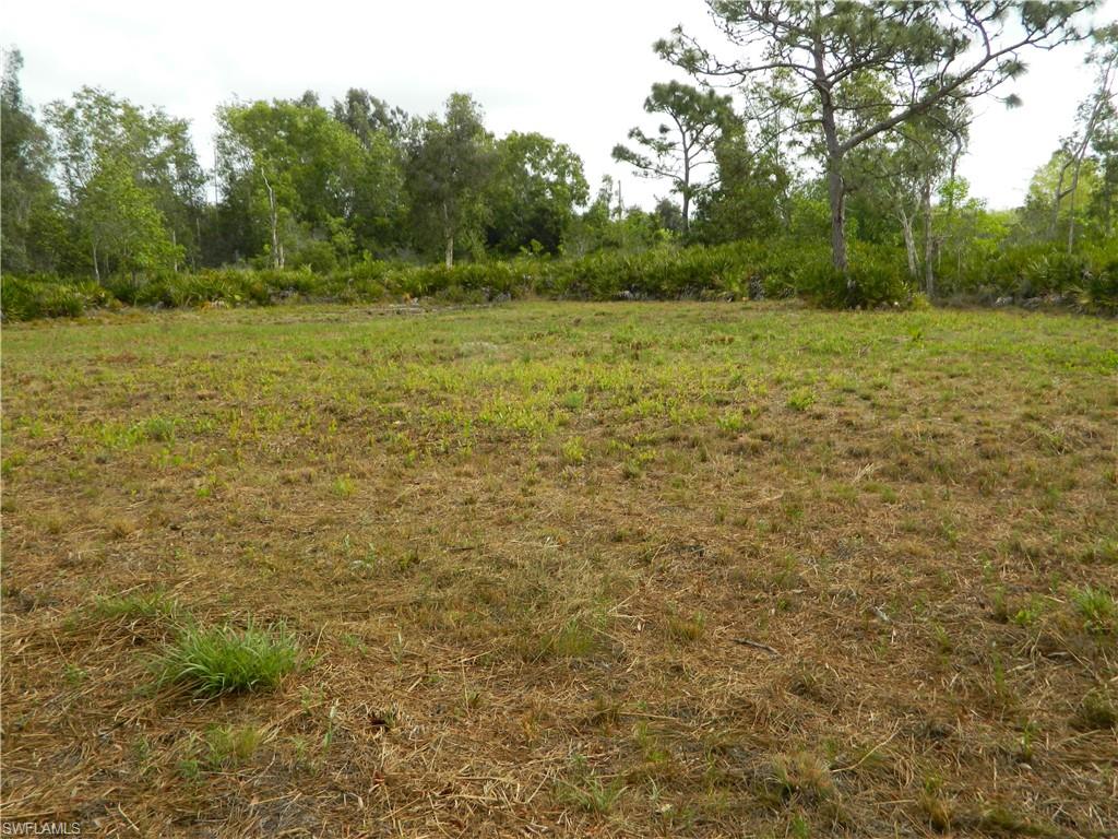 KREAMERS AVOCADO SUBD - Land