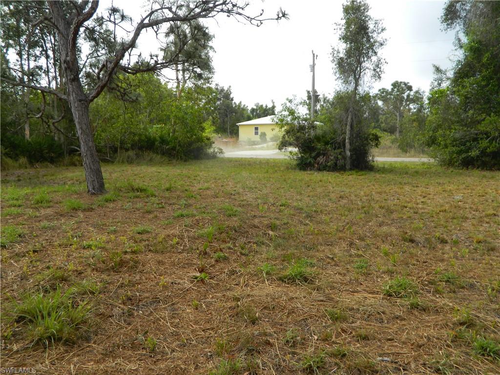 KREAMERS AVOCADO SUBD - Land