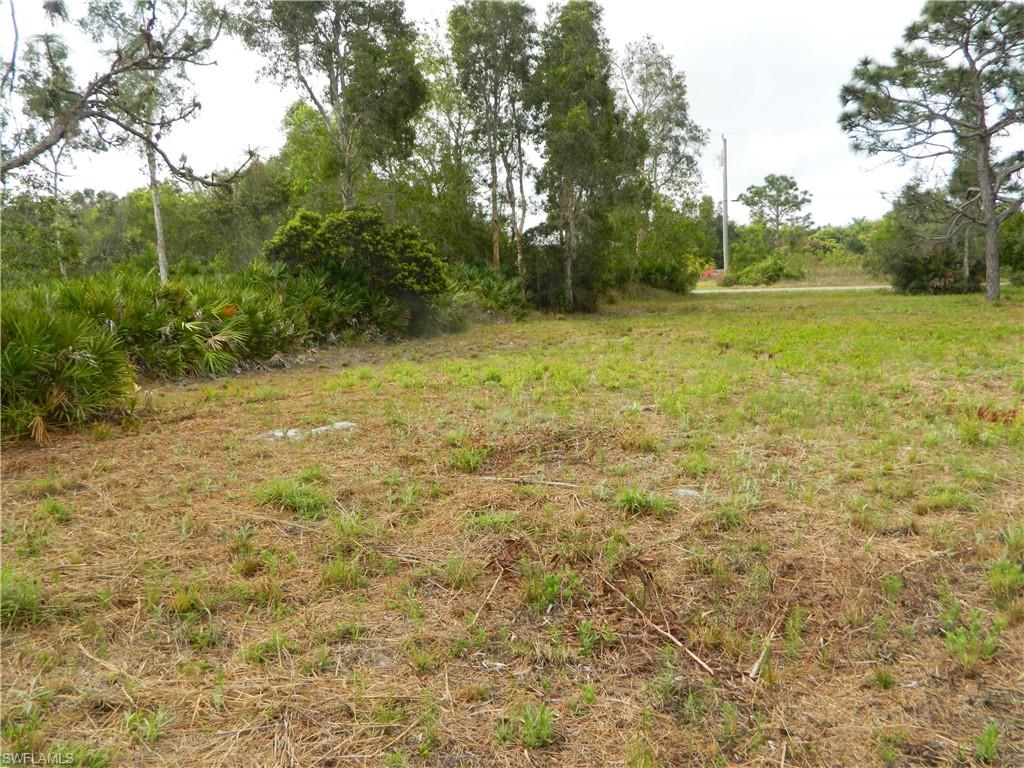 KREAMERS AVOCADO SUBD - Land