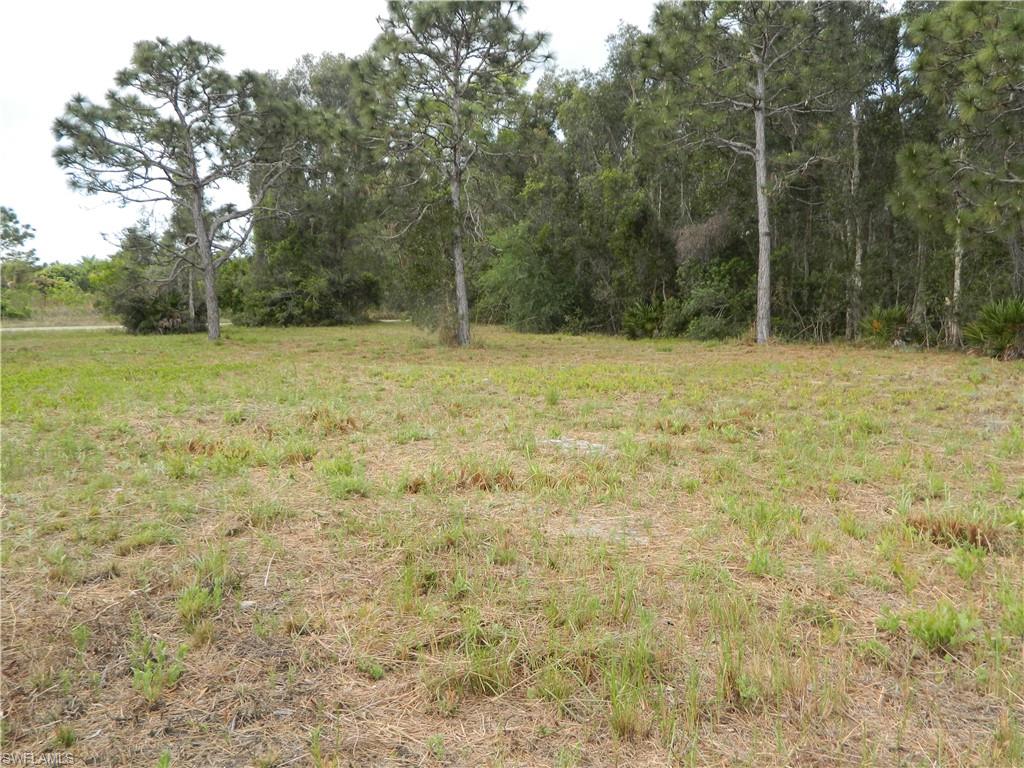 KREAMERS AVOCADO SUBD - Land