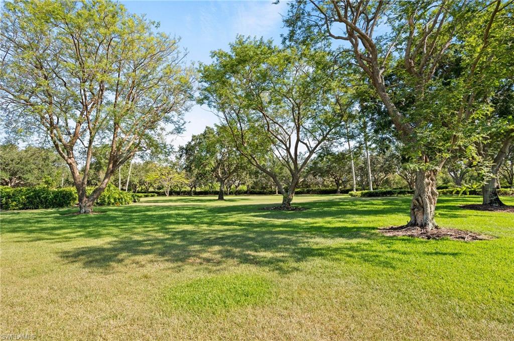 VILLAGE WALK - Residential