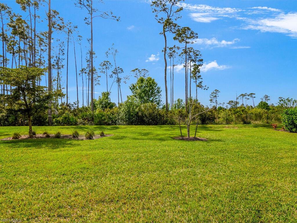 WILDBLUE - Residential