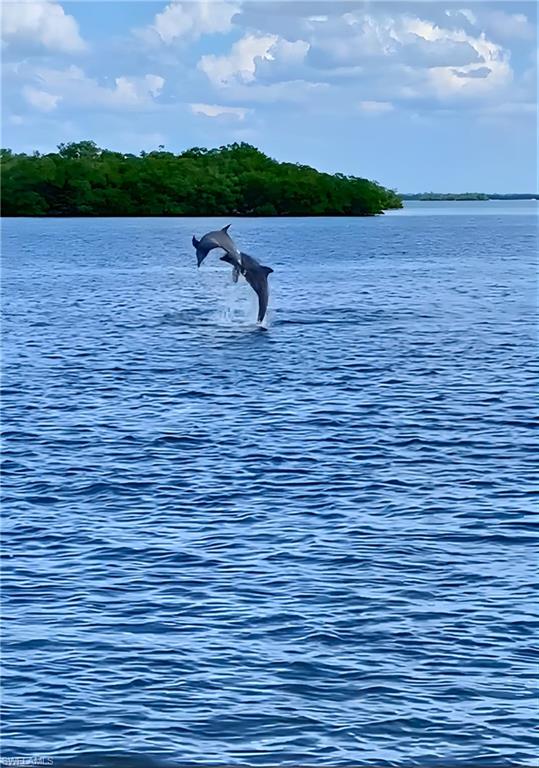 HOLIDAY HEIGHTS - Residential