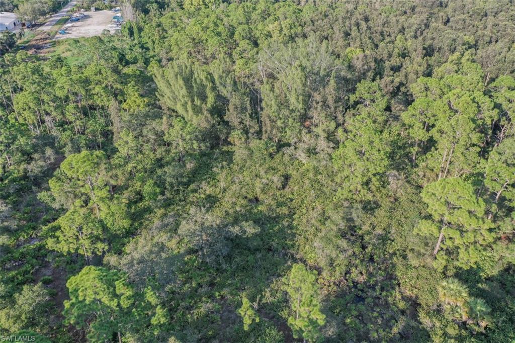 ESTERO SPRINGS - Land