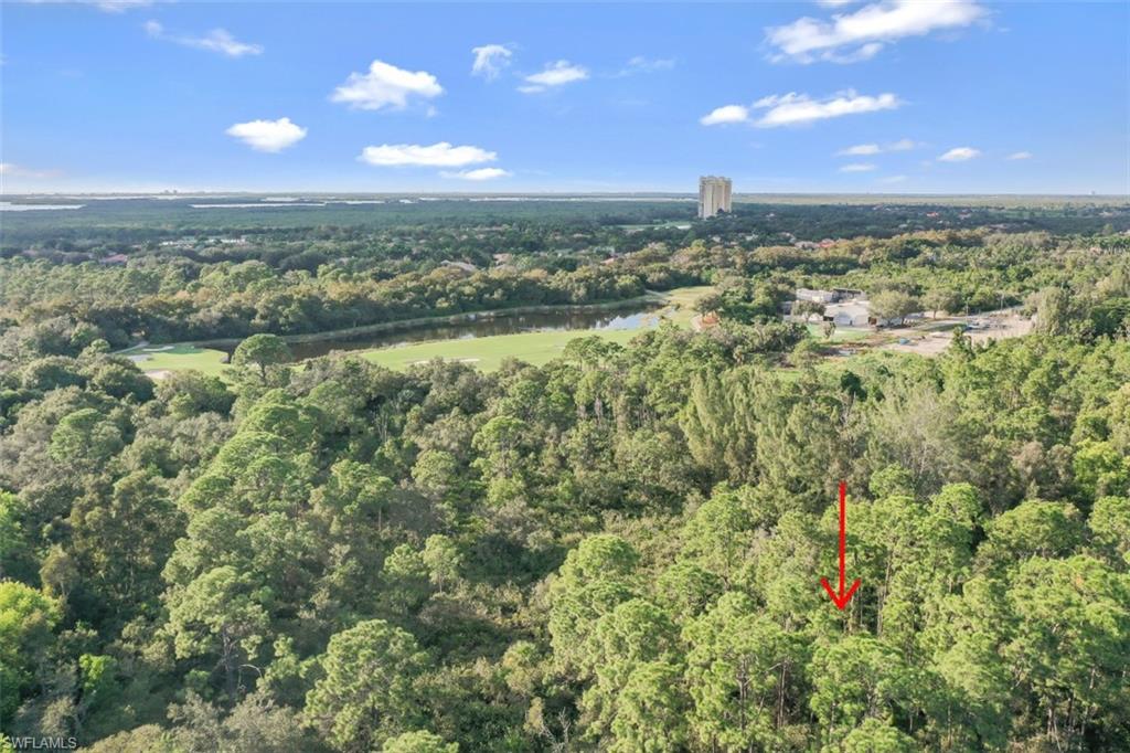 ESTERO SPRINGS - Land